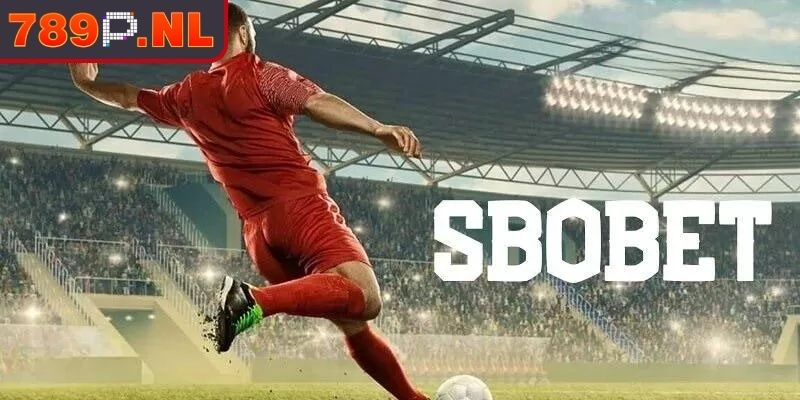 Tổng quan về không gian cá cược sảnh SBO 789P
